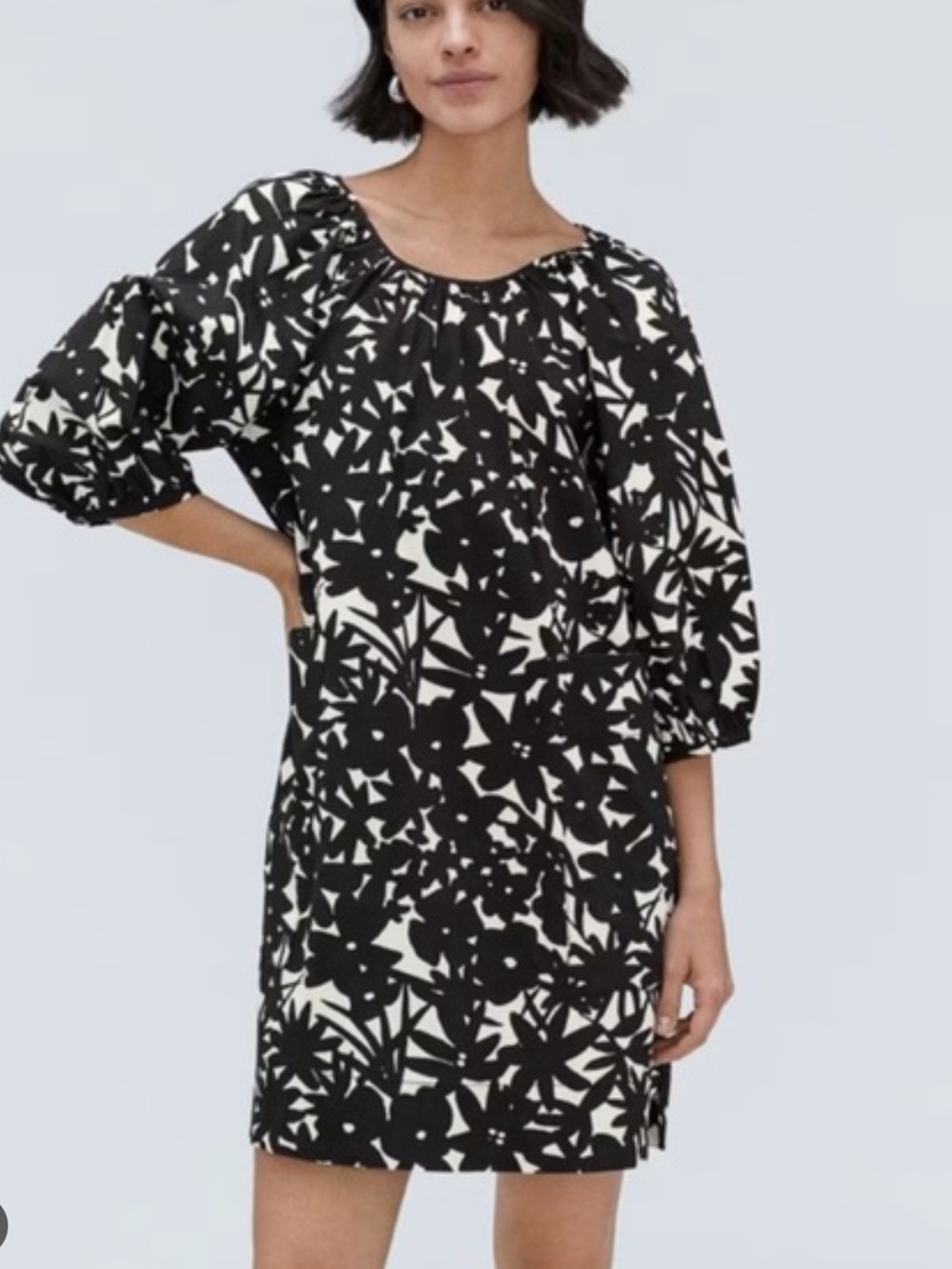 Everlane The Seersucker Puff Sleeve Dress sz medium